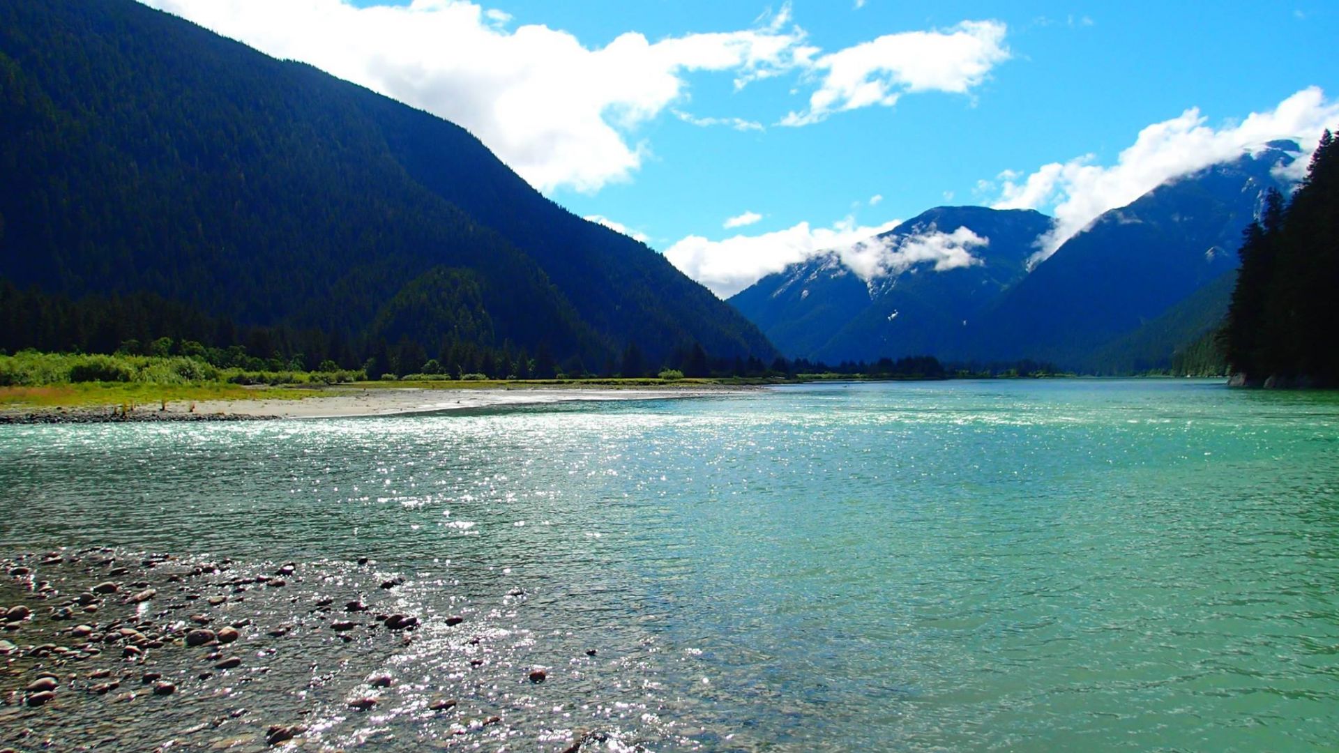 Skærm fjerkræ ejer Kongelaks i British Columbia